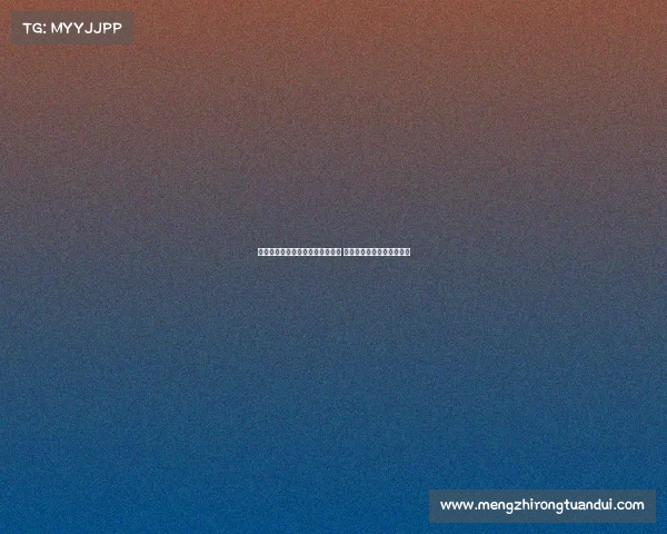 多特为法比奥席尔瓦提供五年合同 计划长期依赖这位年轻前锋