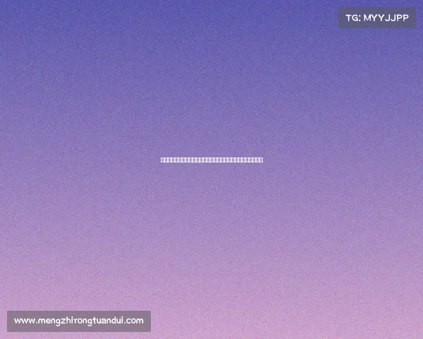 聚焦技术官员职能与影响力在企业数字化转型中的关键作用与挑战 聚焦技术官员职能与影响力在企业数字化转型中的关键作用与挑战