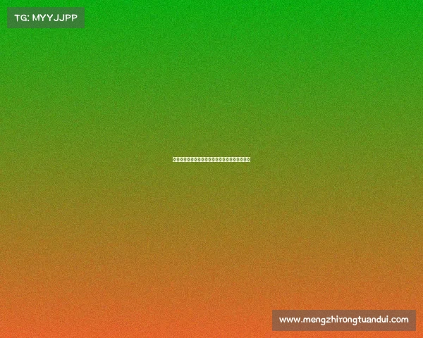 德甲联赛历史发展与经典球队对决回顾及未来展望