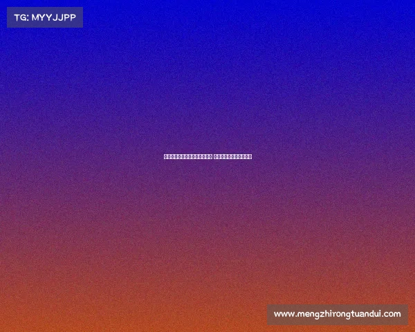 维塔尔梅伦多加盟提升控球能力 祝古斯塔沃未来一切顺利