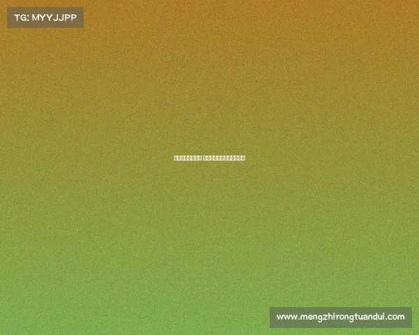 德甲联赛精彩纷呈 看球指南与球队动态全解析