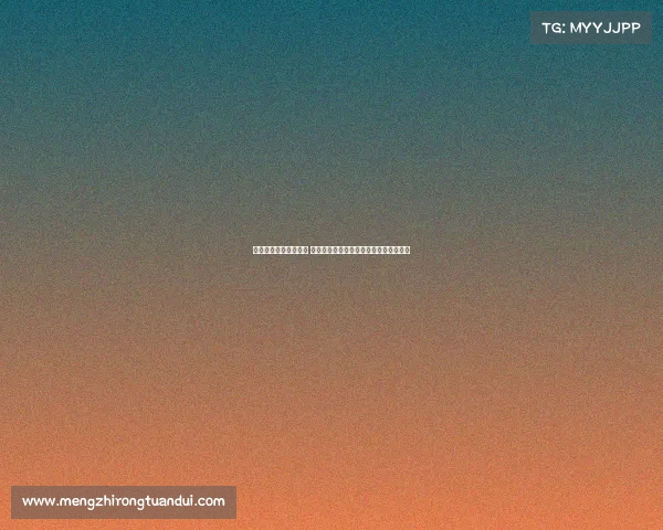 聚焦教练组协作与发展 提升团队整体实力与竞技水平的策略探讨