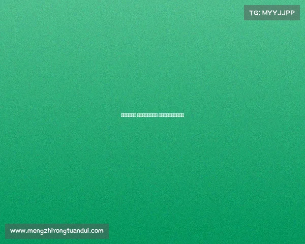 德甲争夺激烈 欧战资格悬念重重 联赛最后阶段对决关键