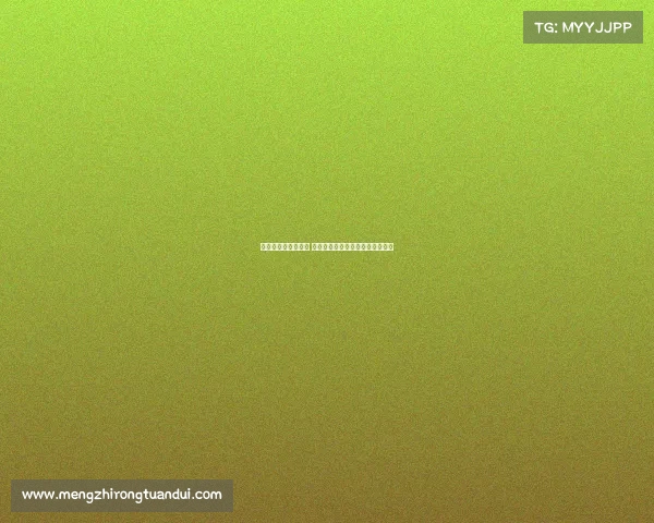 法甲新赛季精彩揭幕 强队争锋崭新挑战与赛季前瞻分析