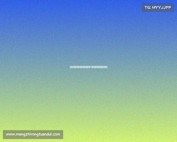 维塔尔梅伦多加盟提升控球能力 祝古斯塔沃未来一切顺利